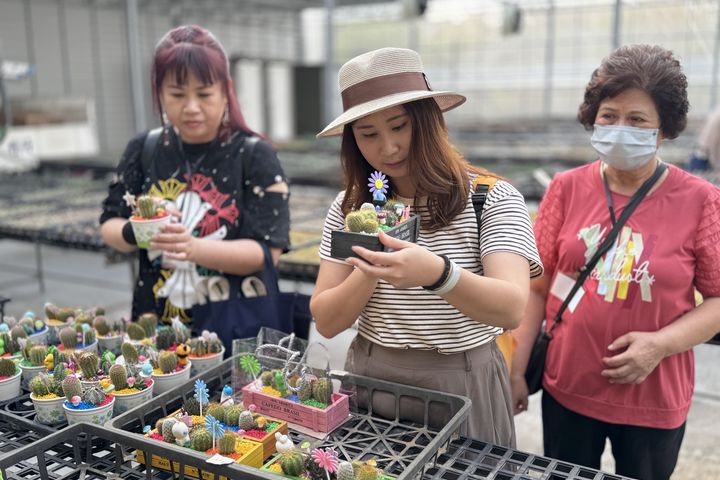 在田尾可盡情挑選購買喜愛的盆栽。 圖:社團法人田尾公路花園協會/提供