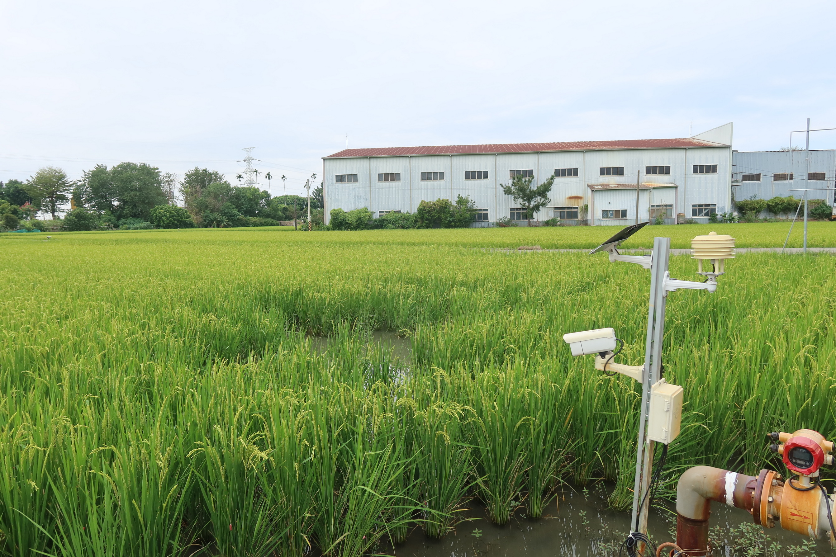 ▲建新碾米廠等業者在田中鎮農會舉辦「稻作智慧化生產價值創造生態系組建計畫」發表會，為稻農帶來更輕鬆且具競爭力的生產方式，並鼓勵年輕人投入農業。（記者張溎壕攝）