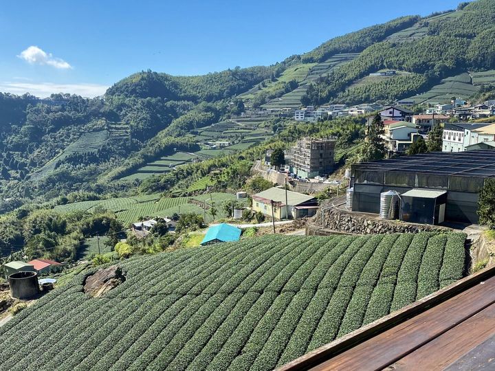 加入「慢遊嘉義」Line@抽獎!遊阿里山免費住山景民宿、大啖人氣甜甜圈