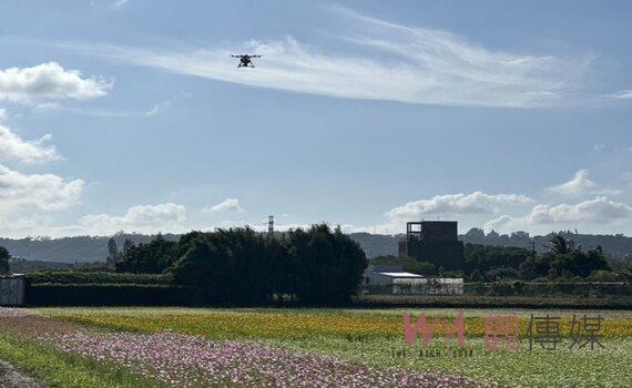 防治紅火蟻入侵 桃園農業局出動無人機撒佈防治餌劑作業