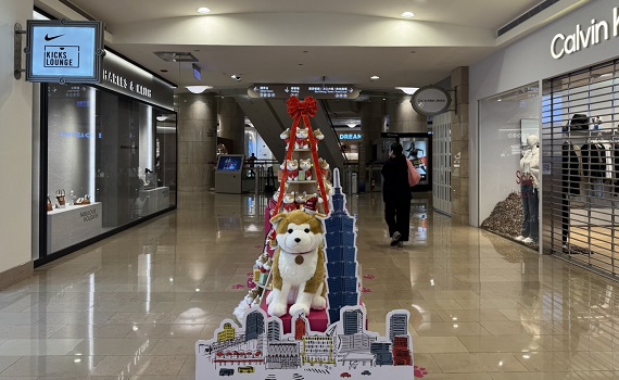 忠犬小八101歲生日快閃活動登場 台北101首次引進秋田文化