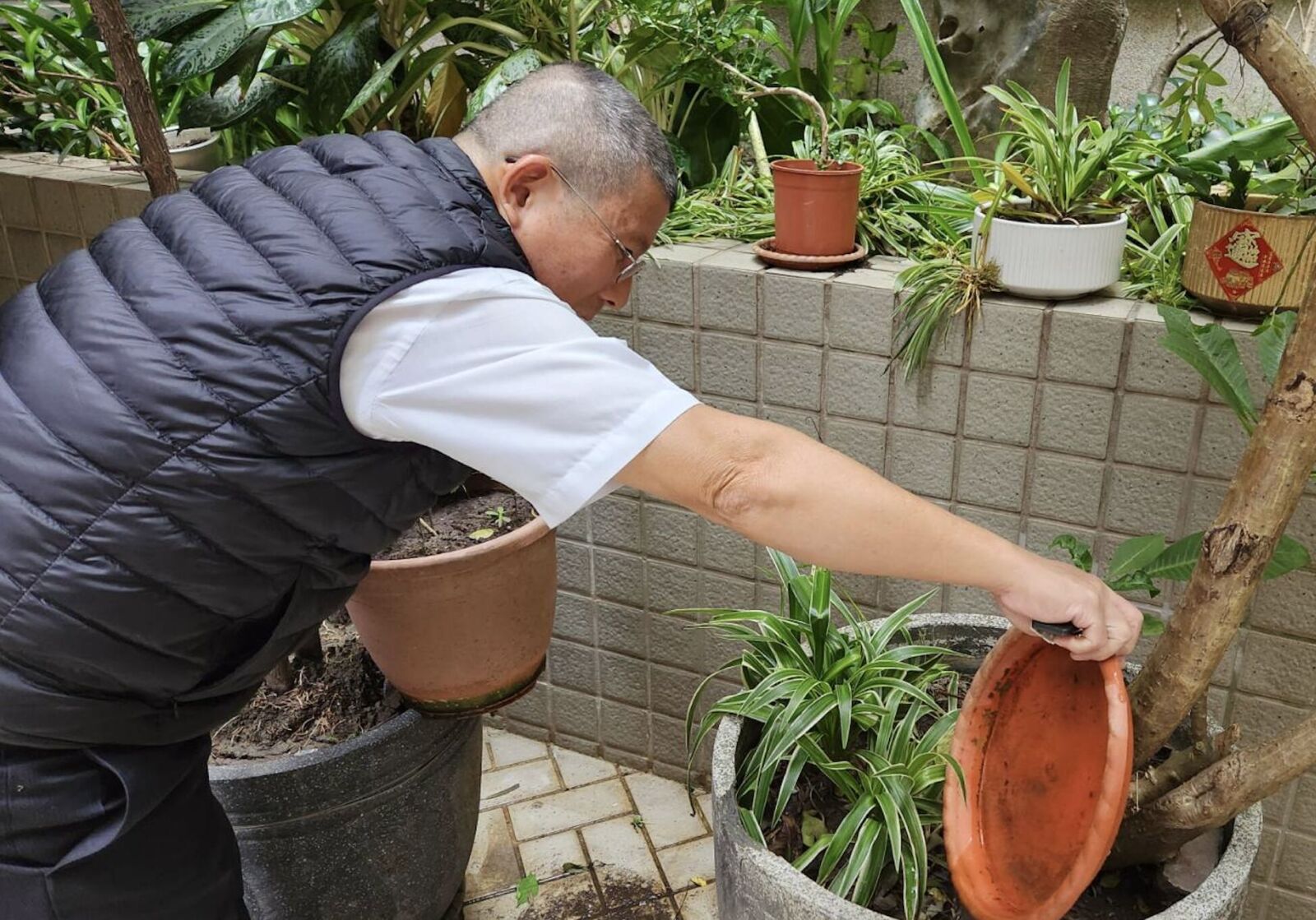 大安區也淪陷!連二天爆登革熱 40歲男「又燒又瀉」找嘸感染源 194 大安區也淪陷!連二天爆登革熱 40歲男「又燒又瀉」找嘸感染源 193