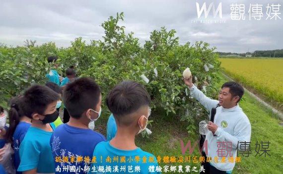 (有影片)/認識家鄉特產!南州國小學童親身體驗溪州芭樂的生產過程
