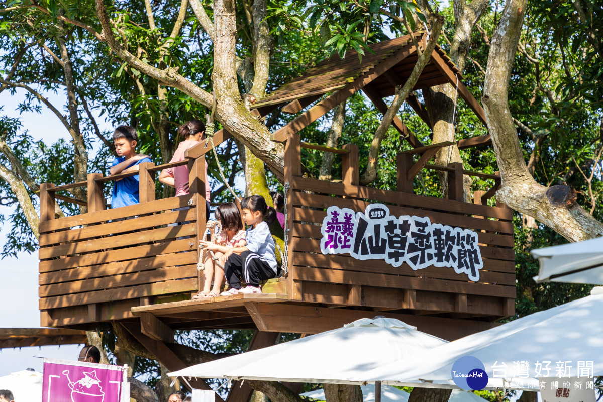 仙草控必衝！嘉義縣水上鄉仙草柔軟節連2日盛大展開／嘉義縣府提供