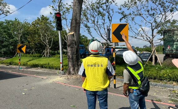 中市北屯區軍功路路肩黑板樹進場施工  捍衛用路人安全