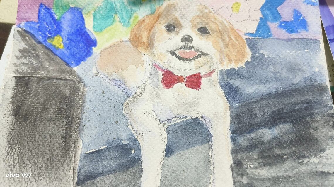 名字叫美男子的西施犬，牠的故事挺特別的