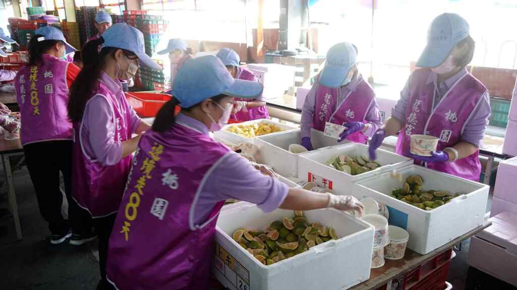 ▲彰化農產品促銷嘉年華提供有3,000份的免費試吃水果。（記者林明佑攝）