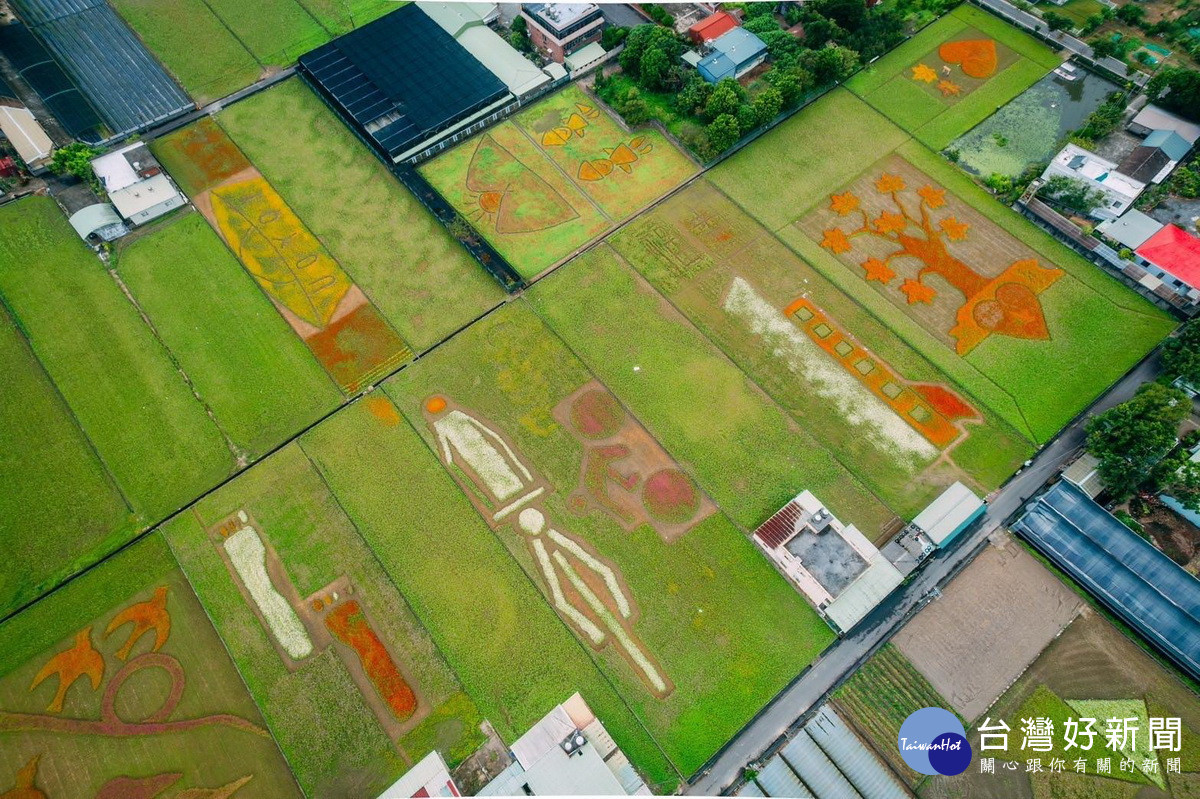 2024大溪水岸花卉農遊「花彩盛艷」，將於11/16日盛大開幕。<br /><br /> 