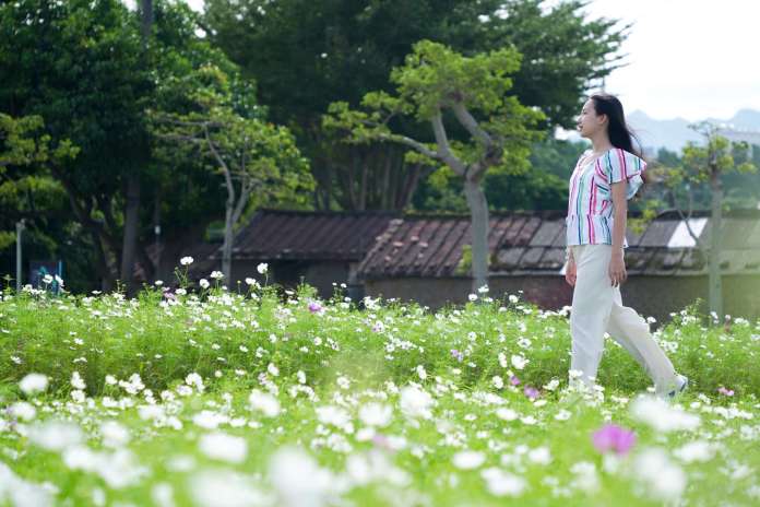 大溪水岸花卉農遊「花彩盛艷」11/16繽紛綻放 浪漫花田超好拍 77 391539 scaled