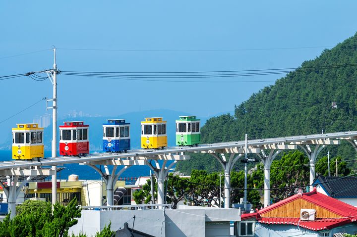 跟團出遊比一比!2025首季各線旅行團費公佈 日本賞櫻團飆漲