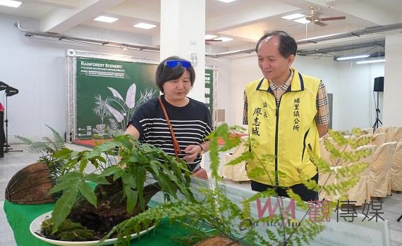 2024台灣熱帶雨林、觀葉植物精品大賞
