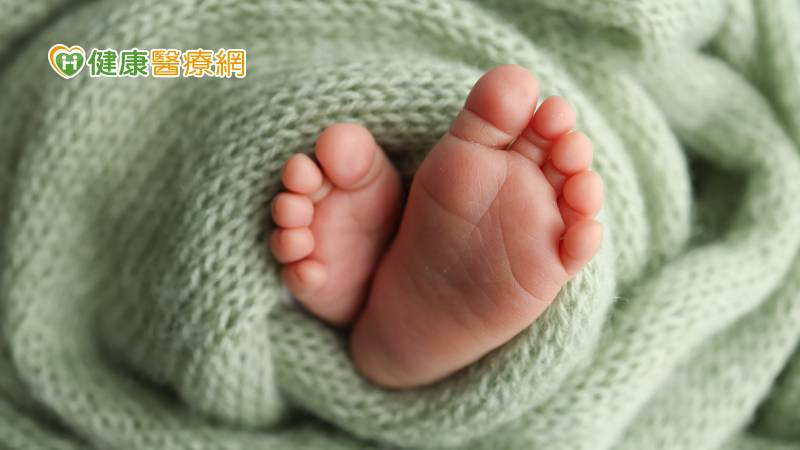 龍年出生率不如往年!新生兒減少近2千人 醫認為人工生殖開放有助生育率