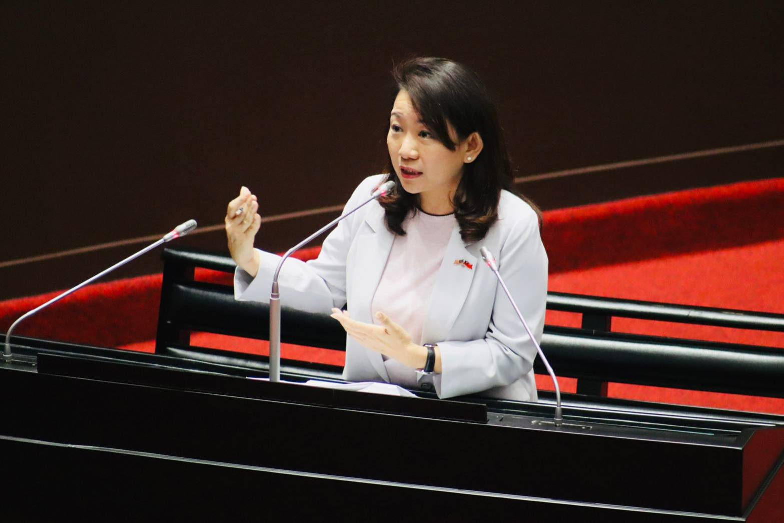 羅美玲質疑資安指標保守 蔡明彥:國安局防護能力已達水準 204 民進黨立委羅美玲。(羅美玲辦公室提供)