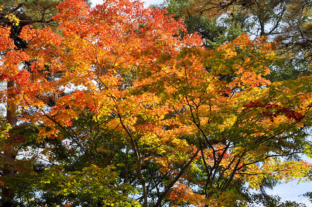 南山神壽任務/石門水庫 南山神壽任務/石門水庫