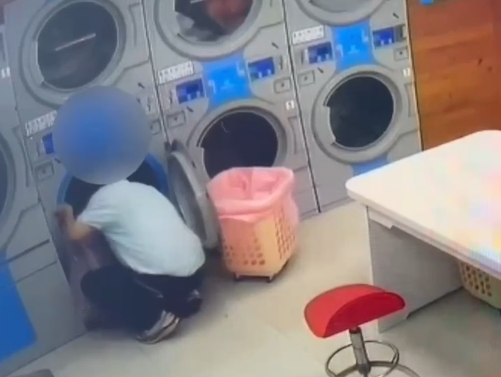 專偷女性內衣褲 49歲男自助洗衣店涉竊被逮 221 cnews204241115a07