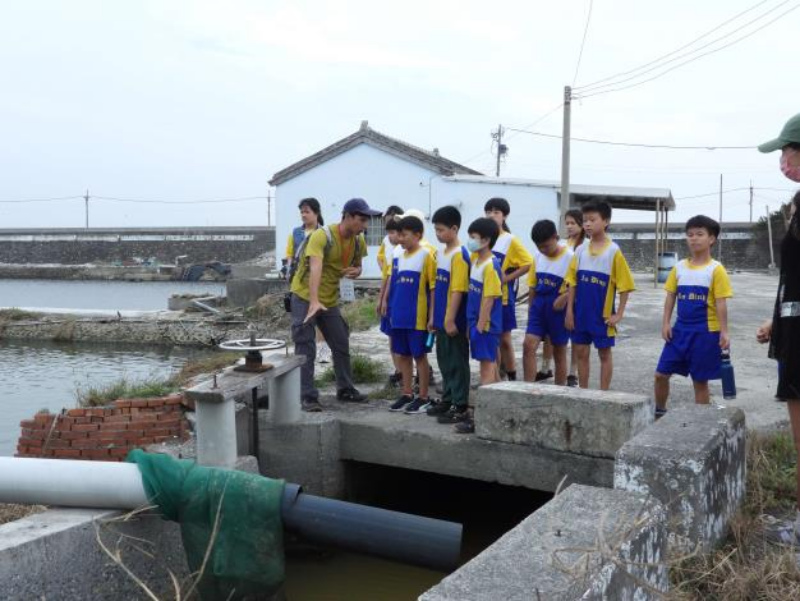 探索口湖鄉濕地樂園!國小師生了解濕地獨特生態與環境變遷