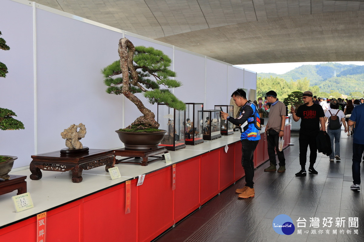 樹石創作盆栽展,吸引許多遊客駐足欣賞。(圖/縣府提供)