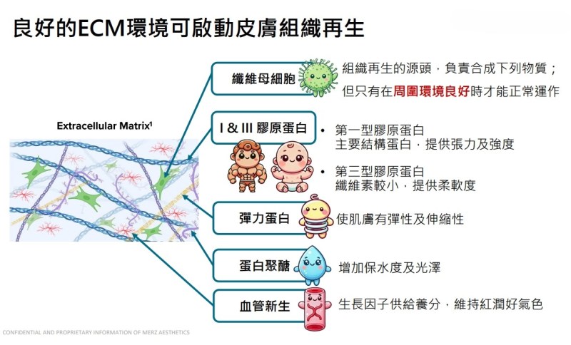 ECM環境詳細說明