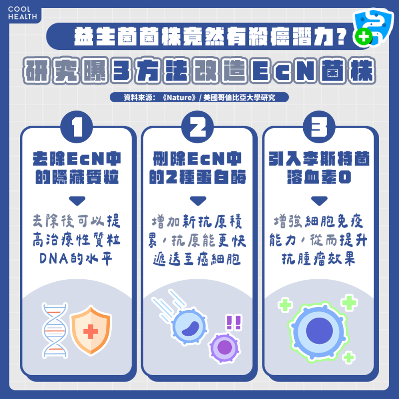 癌症治療領域革命性進展! 益生菌經改造竟有殺癌潛力