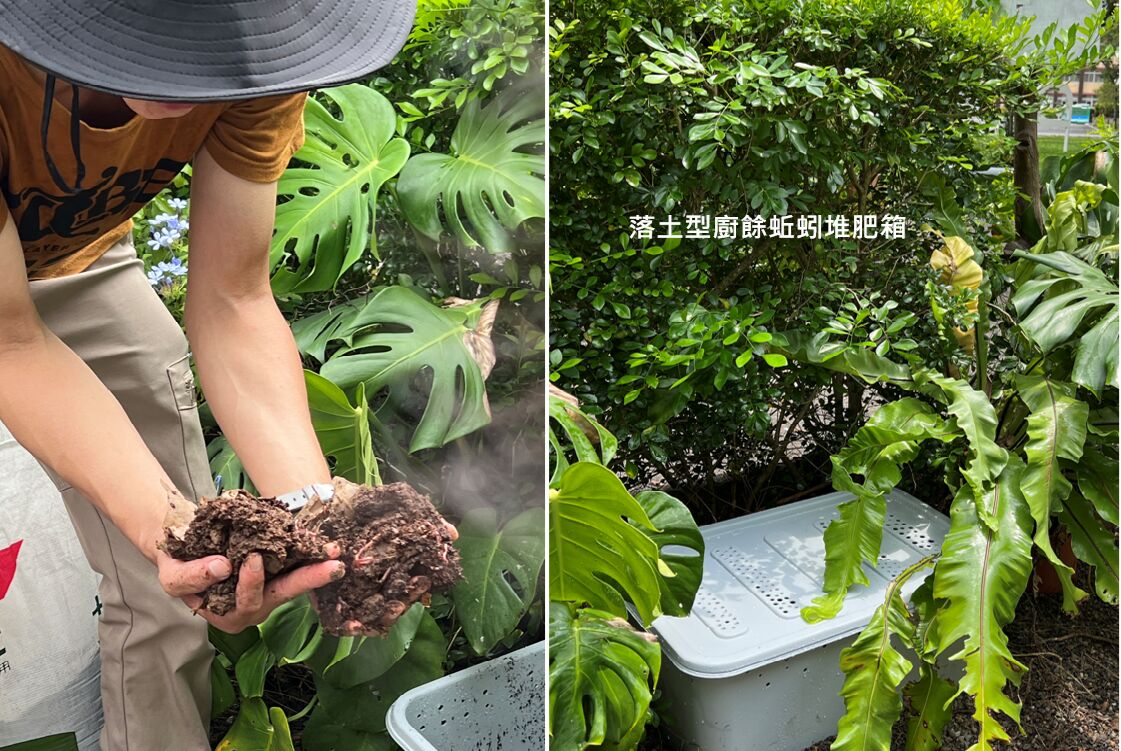 【聯發科技智在家鄉】以菌制菌與生物防治技術 雙重實踐除蟲害與綠色生活 236 CNEWS195241118a04