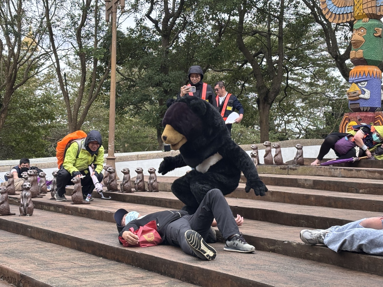 工作人員扮演台灣黑熊脫逃模擬考驗應變能力,園區動員30人啟動誘捕計畫,成功安全處置,化解危機。(圖/記者林照東翻攝)