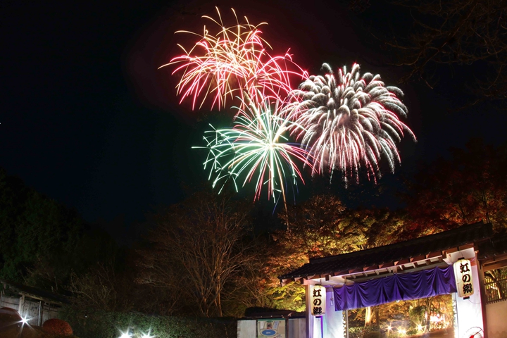 衝一波迷人夜楓!12/8前靜岡伊豆的修善寺虹之郷紅葉彩燈秀等著你