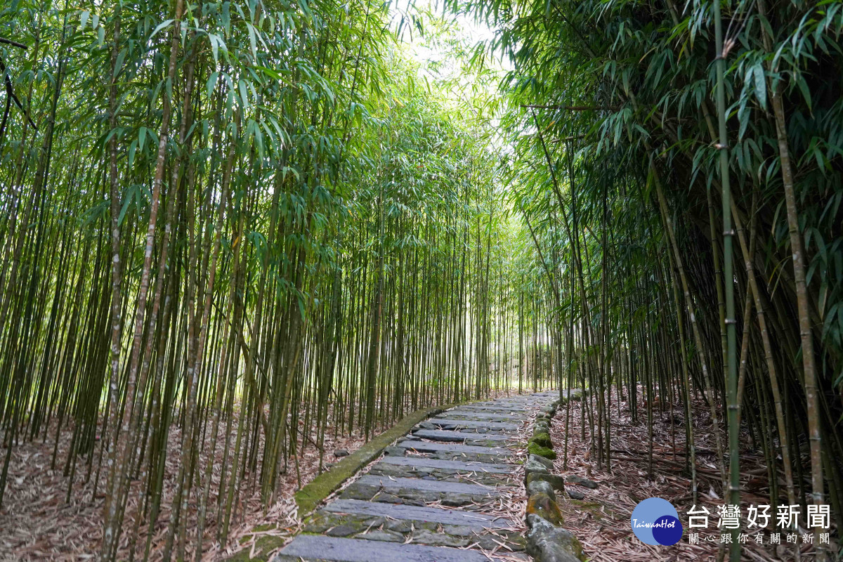 頂湖步道／嘉義縣府提供