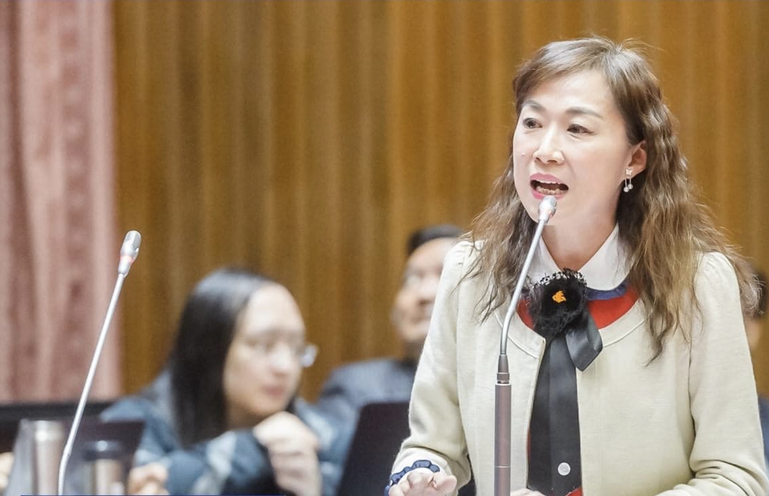 指藍白修「選罷法」削弱民權 林宜瑾:開民主倒車 238 指藍白修「選罷法」削弱民權 林宜瑾:開民主倒車 237