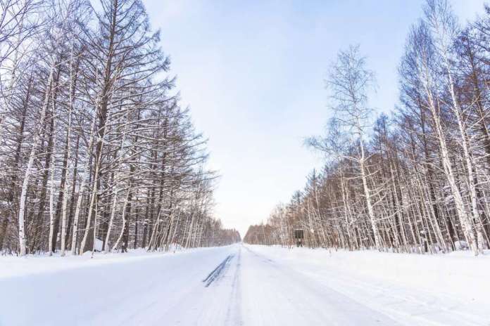 11/22迎「小雪」 專家曝6大禁忌 61 beautiful outdoor nature landscape with tree snow winter season hokkaido 74190 6475
