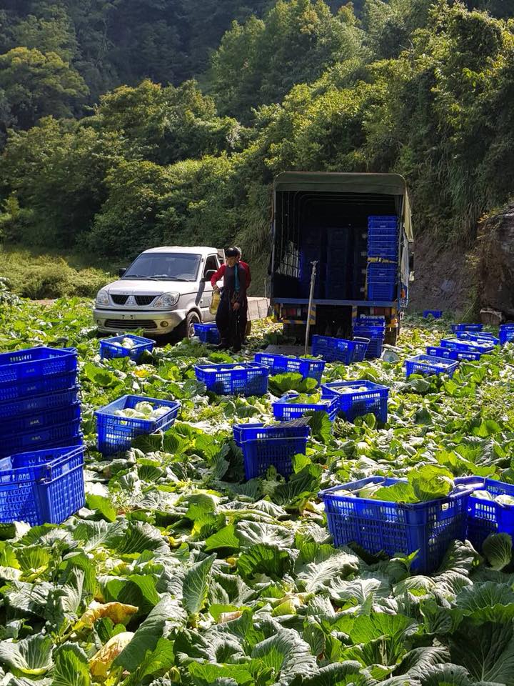 小川鍋物的食材挑選,是從台灣各地小農手中精心栽種、養育而來的,實現與小農之間的長期合作與信任。(圖/小川鍋物提供)