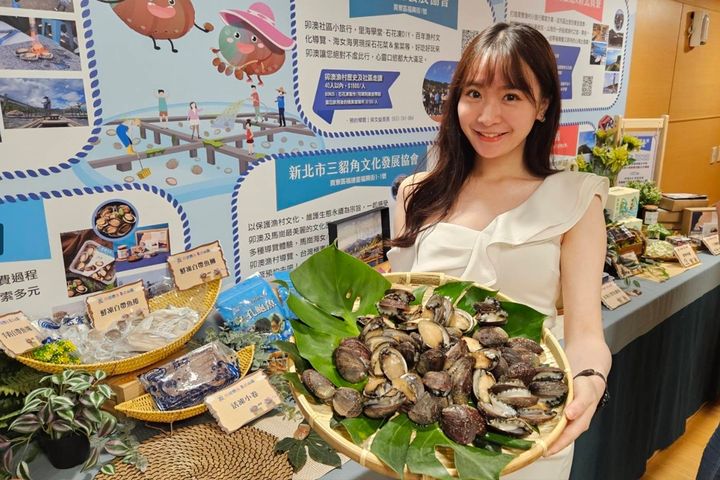 目前正是貢寮鮑魚盛產的季節。 圖:新北市政府漁業及漁港事業管理處 /提供