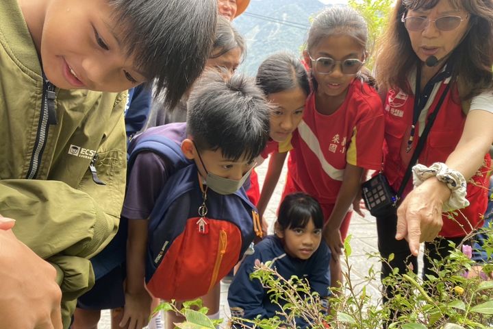 紫斑蝶棲地與蝶道解說。 圖:茂林國家風景區管理處/提供