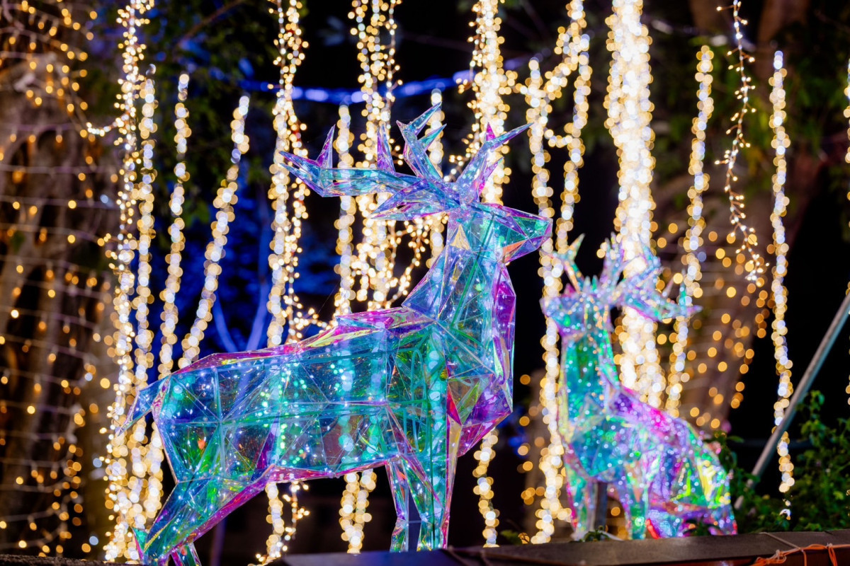 谷關公園以「白雪聖誕村」主題,聖誕樹雪人麋鹿造型如夢似幻。