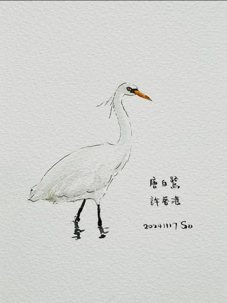 桃園市副市長蘇俊賓親筆手繪「唐白鷺」。<br /><br />