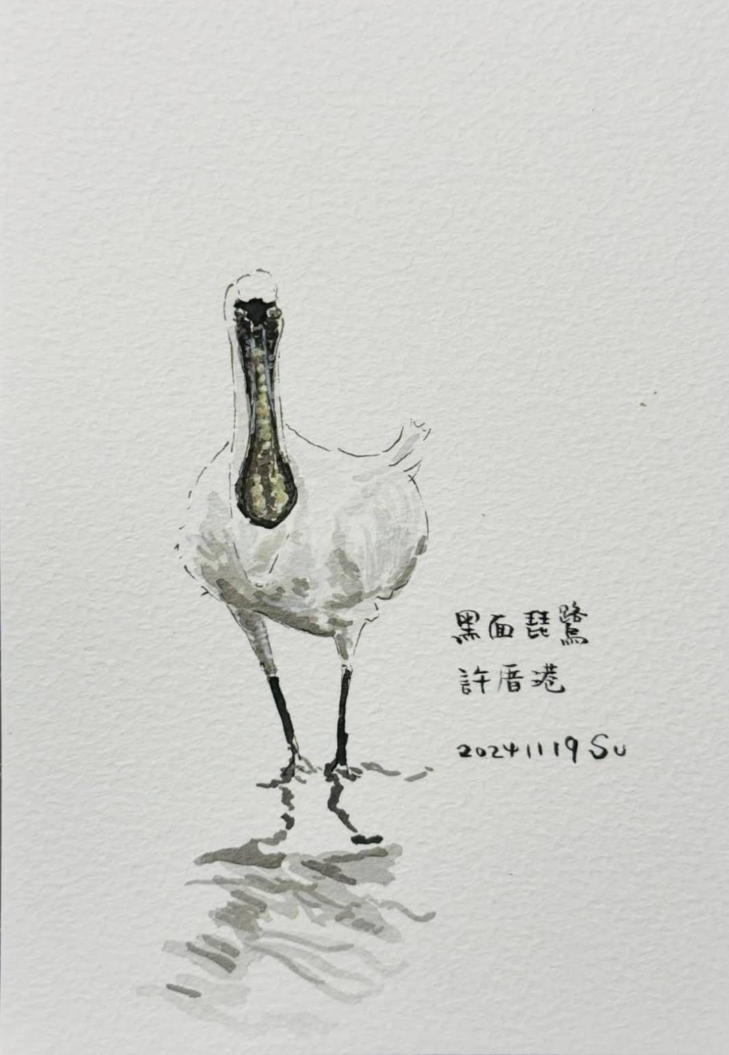 許厝港濕地復育有成萬隻候鳥造訪 蘇俊賓手繪插圖邀民眾參與 236 許厝港濕地復育有成萬隻候鳥造訪 蘇俊賓手繪插圖邀民眾參與 235
