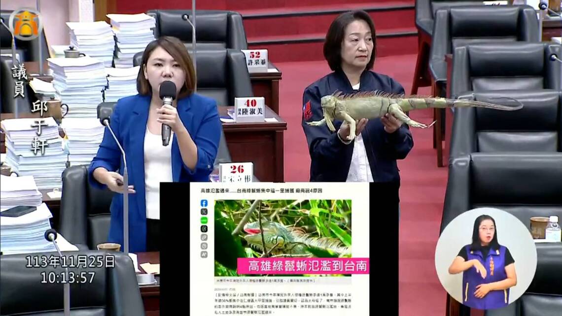 漾新聞|邱于軒總質詢要求發展「棒球經濟」 要求市府重視金潭國小棒球隊