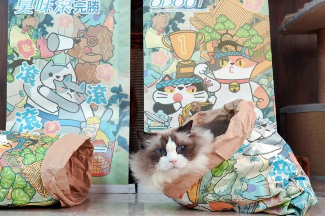 臭味滾完勝玩具袋.JPG
