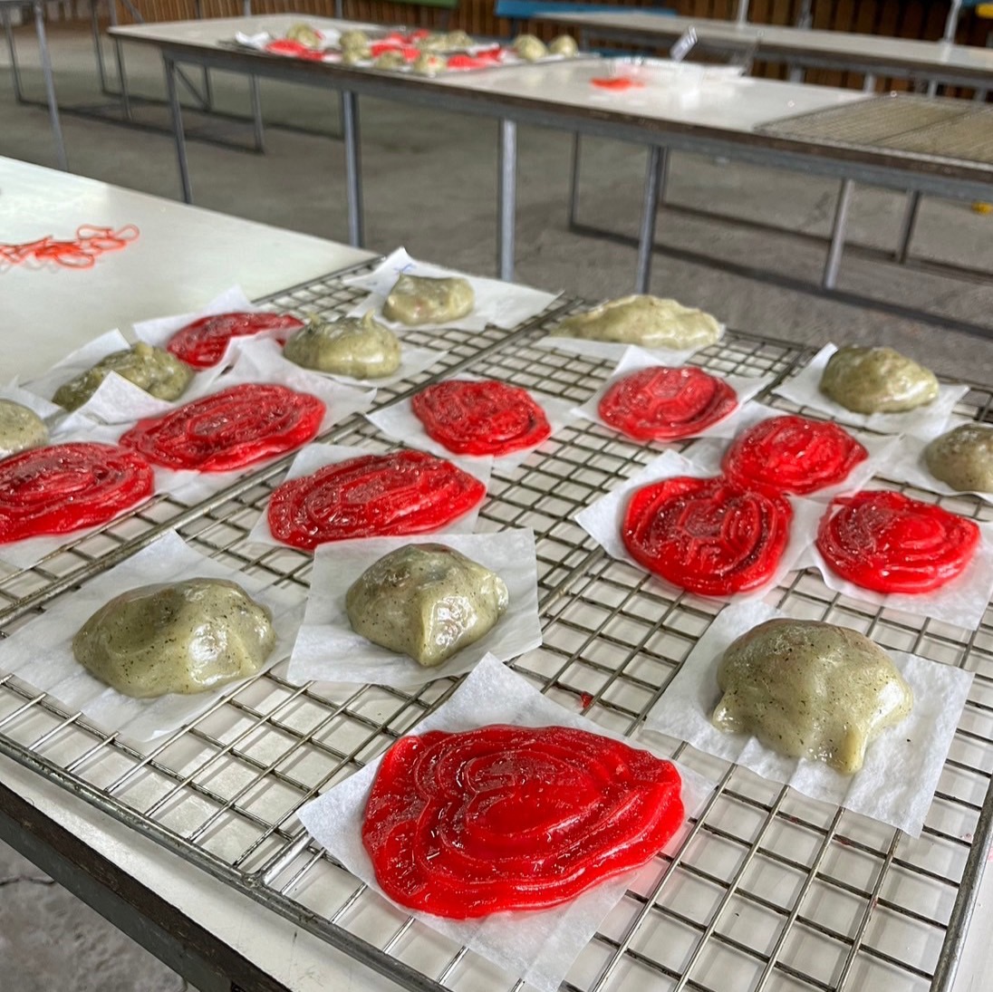 參加者們精心製作的紅龜粿成品。(圖/記者林照東翻攝)