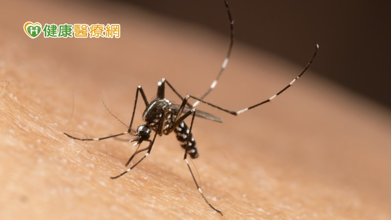 天氣變冷仍要注意登革熱! 高雄出現入秋後首例本土病例