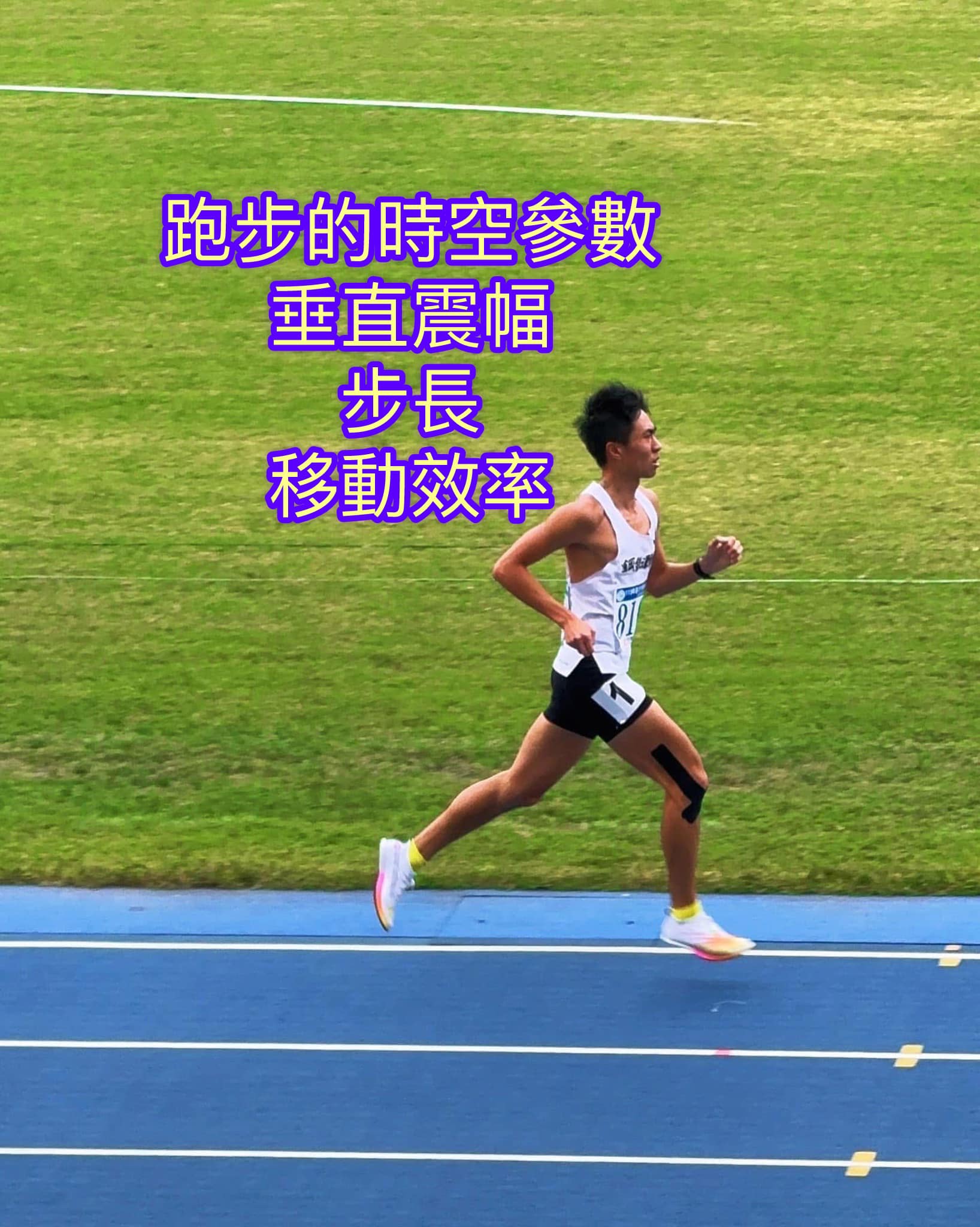 跑步的時空參數分析與討論：垂直震幅、移動效率、步長