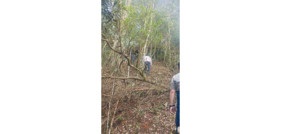 仁愛山區驚傳槍響　部落巡山員意外中彈身亡