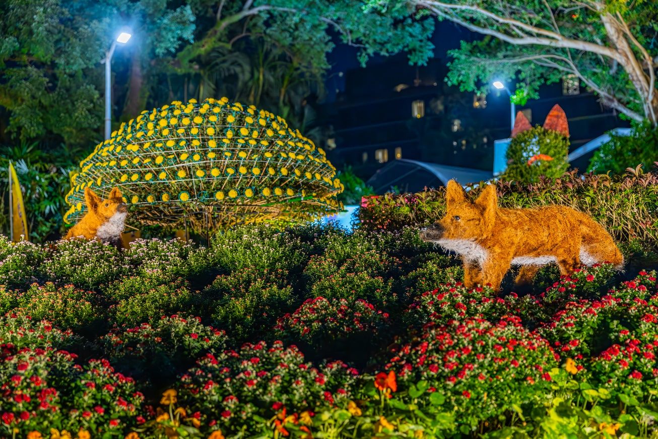 圖15.首次開放士林官邸夜間賞花，在各展區中使用景觀燈飾，引領大家看見不一樣的菊展風貌