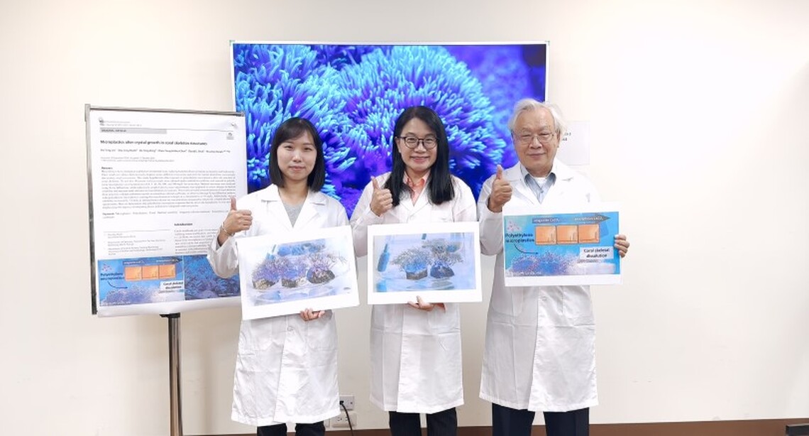 塑膠微粒竟讓珊瑚「骨質疏鬆」！中山大學最新研究登頂尖期刊