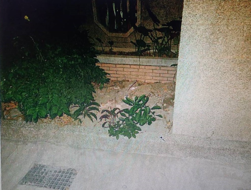 【分屍剃髮2-2】剃光頭髮阻亡靈復仇 網路戀情變調健身男友奪命 225 cnews204241203a05