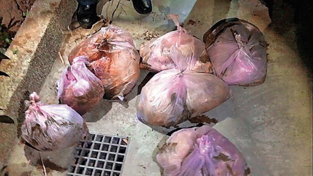 【分屍剃髮2-1】殺女友分屍8大袋埋花圃 恐怖情人畏罪上吊身亡 233 cnews204241203a06