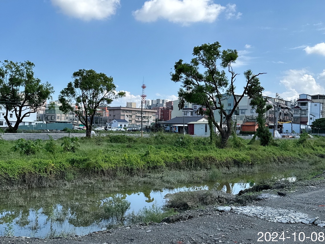 屏東市和生重劃 老樹綠化