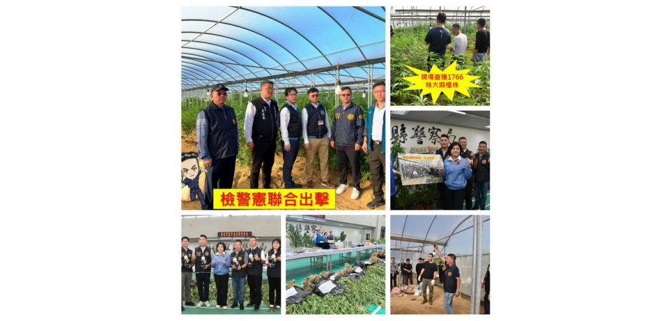 雲林檢警憲強力出擊 破獲史上最大戶外溫室大麻園