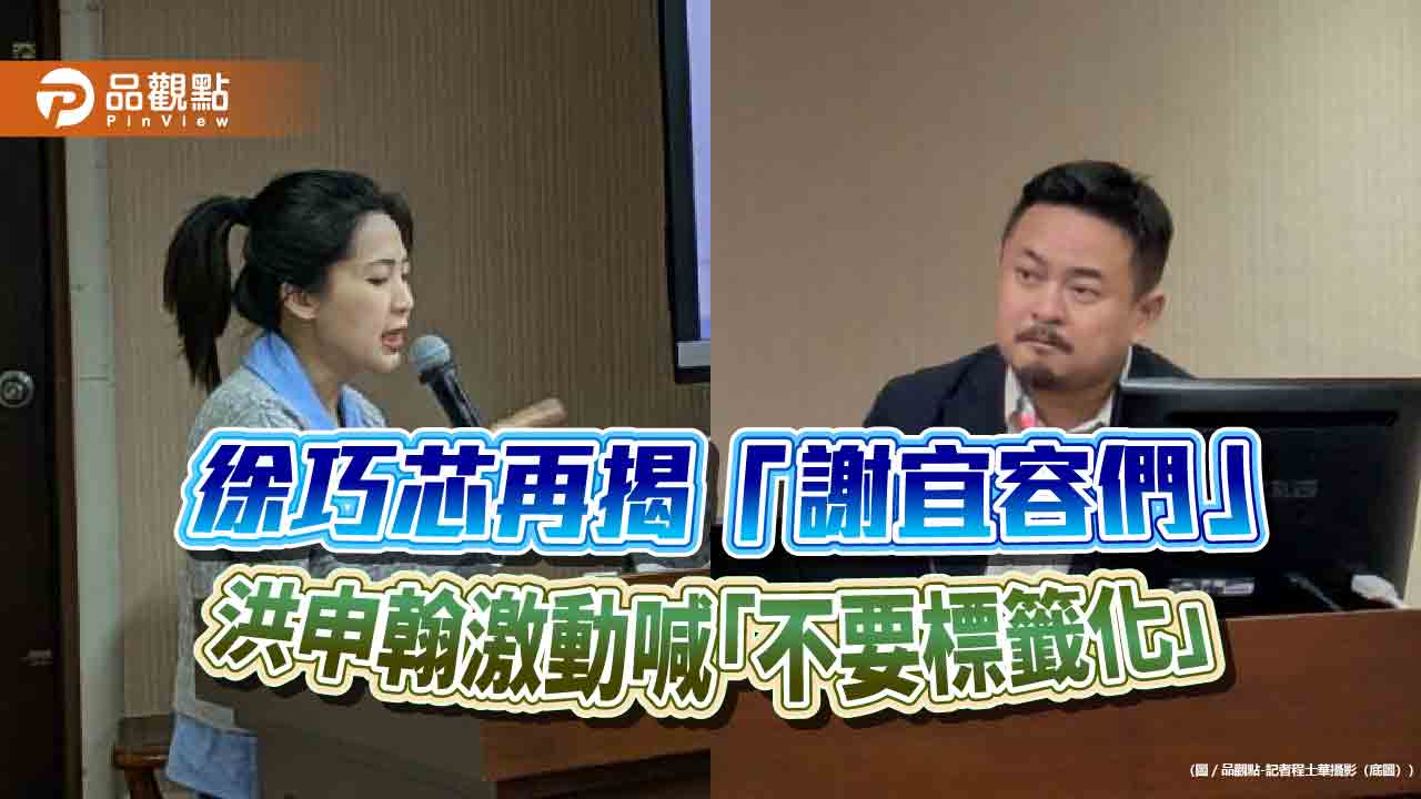 徐巧芯再揭「謝宜容們」 洪申翰激動喊「不要標籤化」