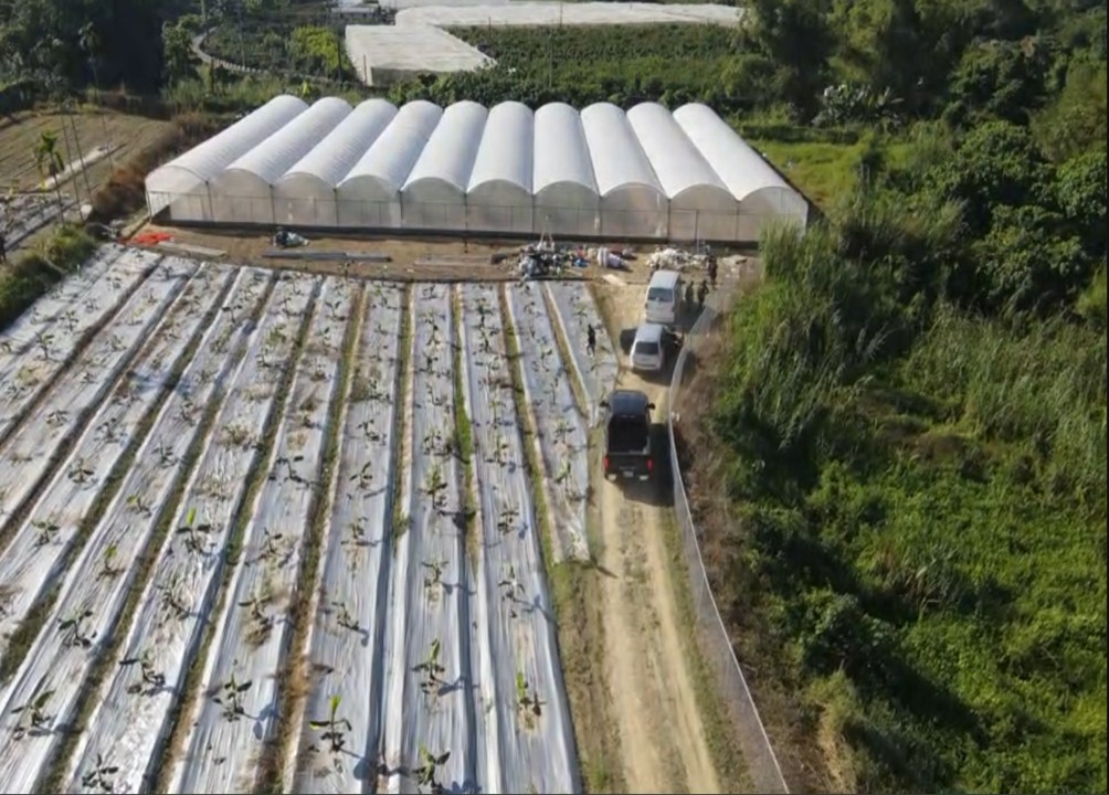 雲林檢警憲破獲溫室大麻製毒場。(圖/記者葉子綱翻攝)