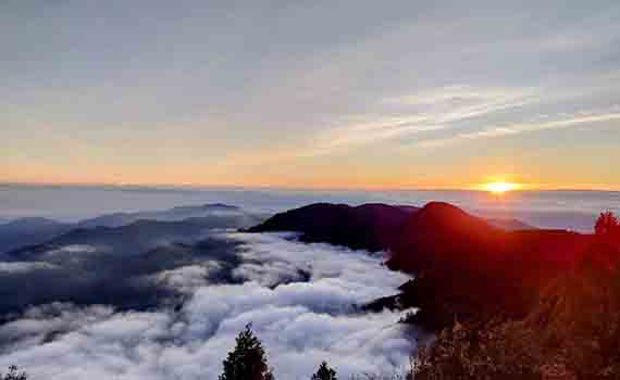 迎接2025年第一道曙光 太平山國家森林遊樂區凌晨3點開園